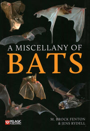 Miscellany Of Bats