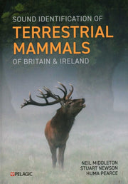 Sound Identification Of Terrestrial Mam