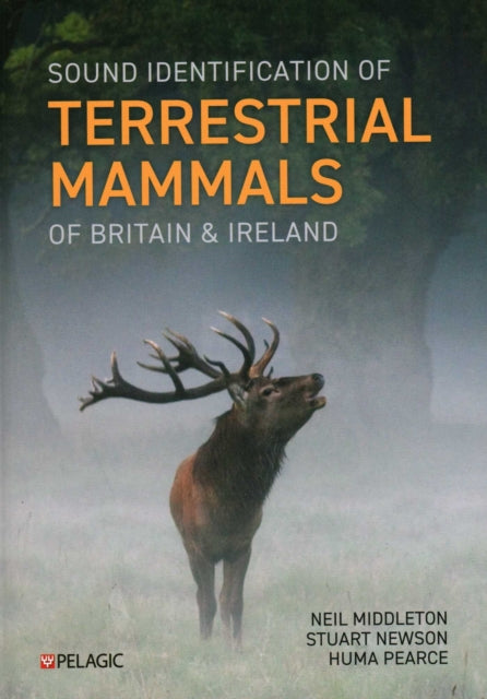 Sound Identification Of Terrestrial Mam
