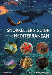 Snorkellers Guide To The Mediterranean