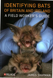 Identifying Bats Of Britain And Ireland
