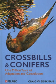 Crossbills And Conifers