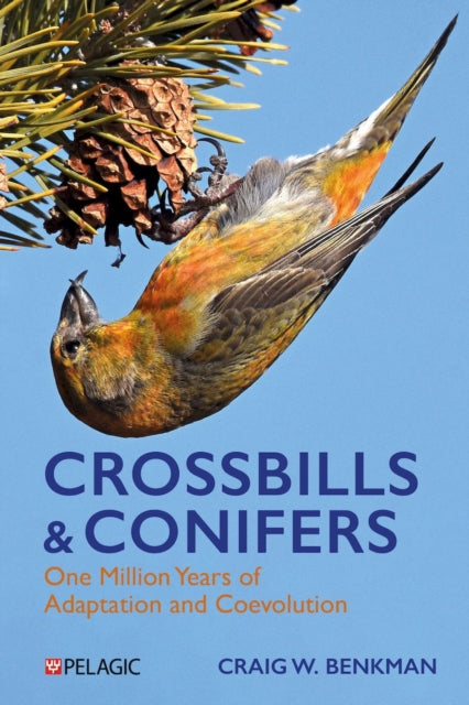 Crossbills And Conifers : One Million Ye By Benkman, Craig