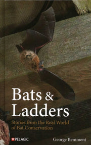 Bats And Ladders
