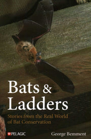Bats And Ladders By Bemment, George