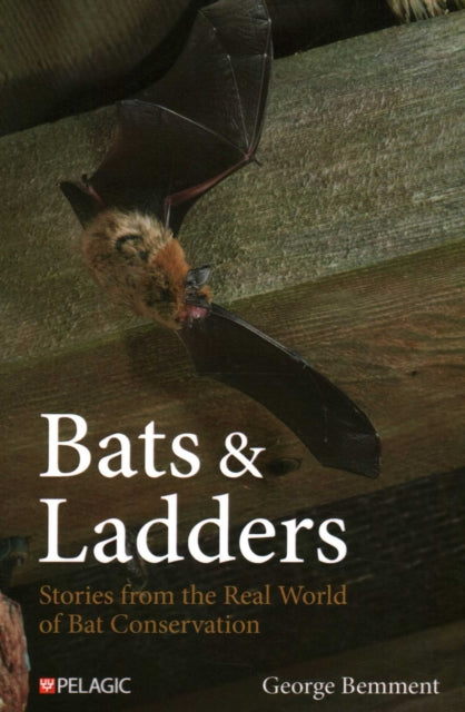 Bats And Ladders By Bemment, George