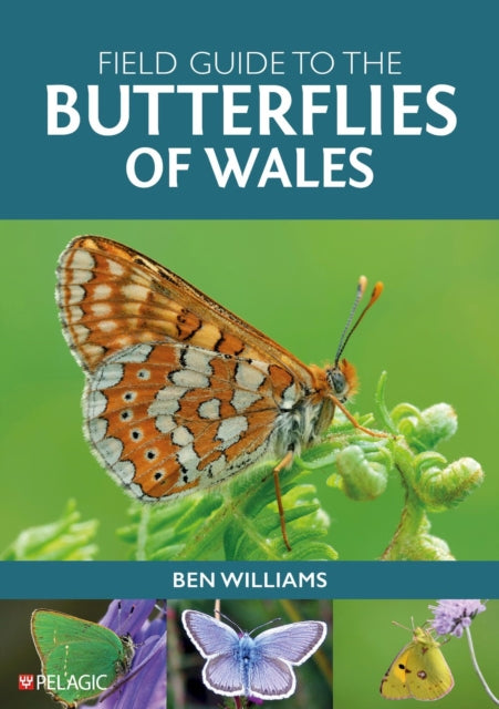 Field Guide To The Butterflies Of Wales By Williams, Ben
