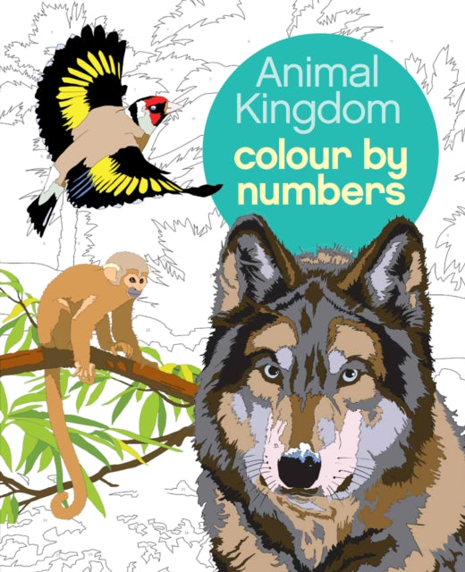 Colour By Number Animal Kingdom
