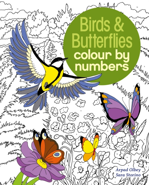 Birds & Butterflies Colour By Numbers