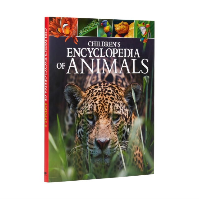 Childrens Encyclopedia Of Animals
