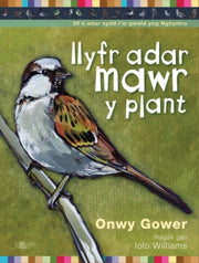 Llyfr Adar Mawr Y Plant By Gower, Onwy