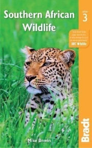 Southern African Wildlife 3