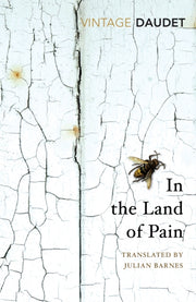In The Land Of Pain By Daudet, Alphonse