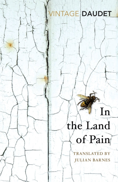In The Land Of Pain By Daudet, Alphonse