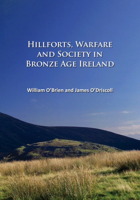 Hillforts Warfare & Society In Bronze Ag