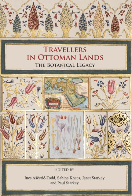 Travellers In Ottoman Lands