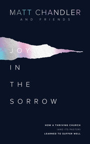 Joy In The Sorrow