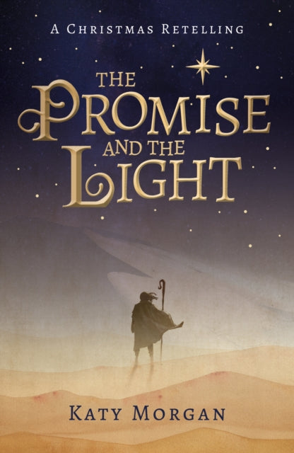 Promise & The Light The By Morgan, Katy