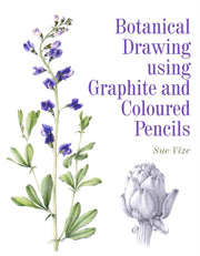 Botanical Drawing Using Graphite/col Pen