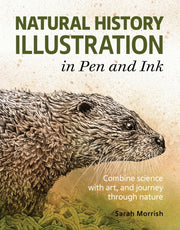 Natural History Illustration In Pen & In By Sarah, Morrish