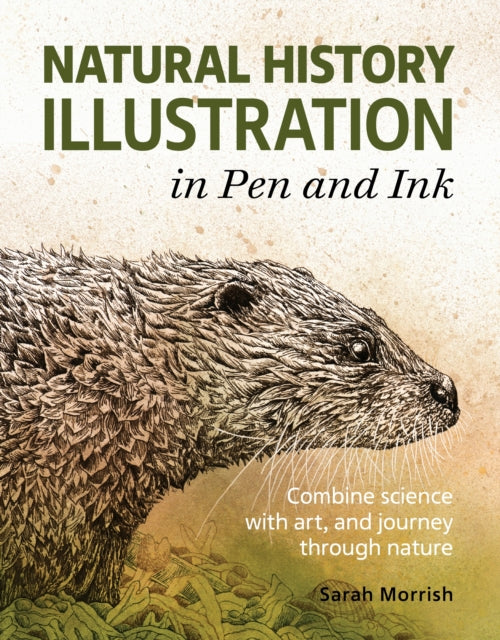 Natural History Illustration In Pen & In By Sarah, Morrish