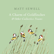 Charm Of Goldfinches & Other Collec/noun By Sewell, Matt