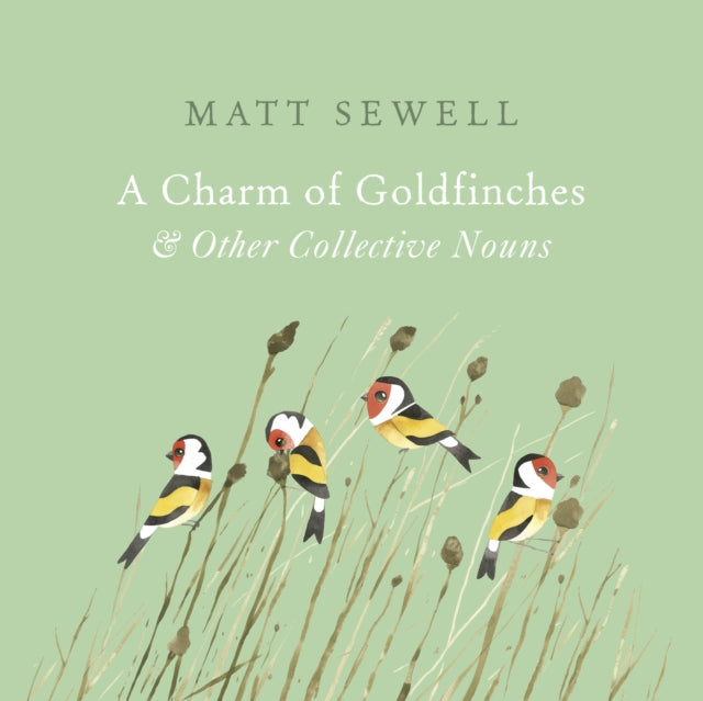 Charm Of Goldfinches & Other Collec/noun