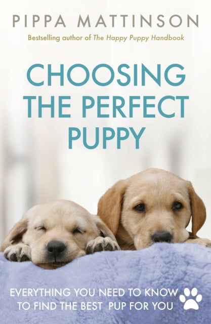 Choosing The Perfect Puppy By Mattinson, Pippa