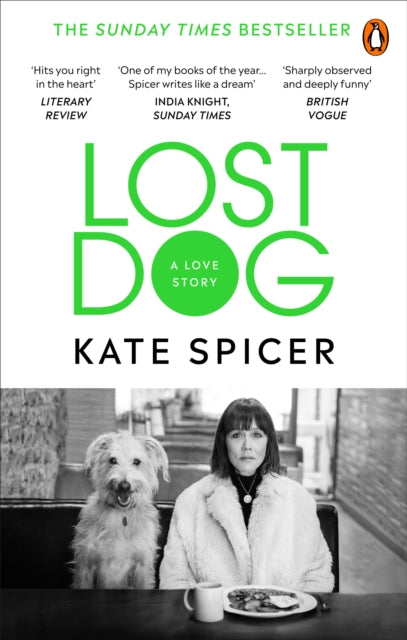 Lost Dog A Love Story