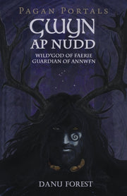 Pagan Portals Gwyn Ap Nudd
