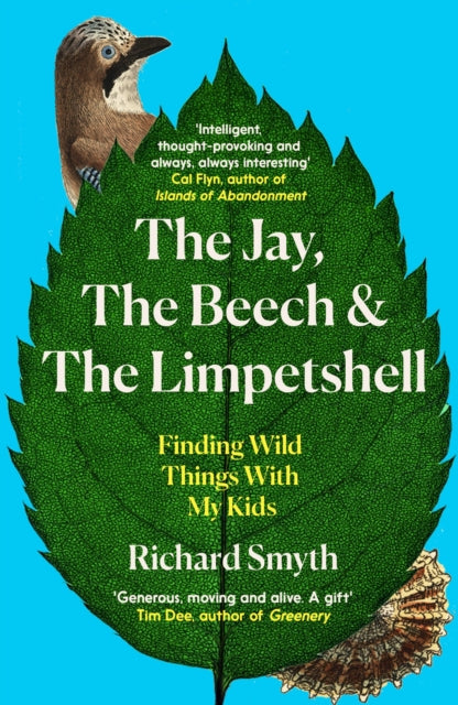 Jay The Beech & The Limpetshell