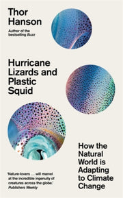 Hurricane Lizards & Plastic Squid
