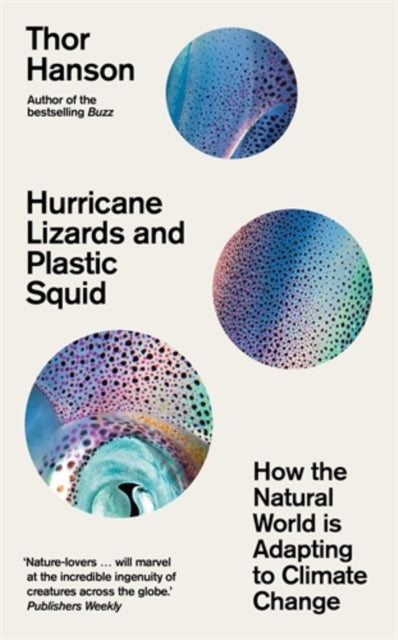 Hurricane Lizards & Plastic Squid
