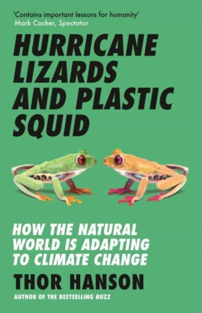 Hurricane Lizards & Plastic Squid