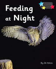 Feeding At Night