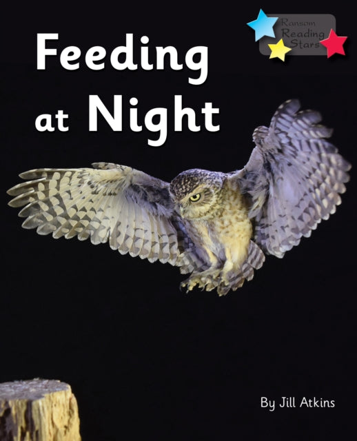 Feeding At Night