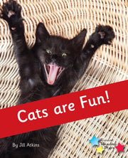 Cats Are Fun