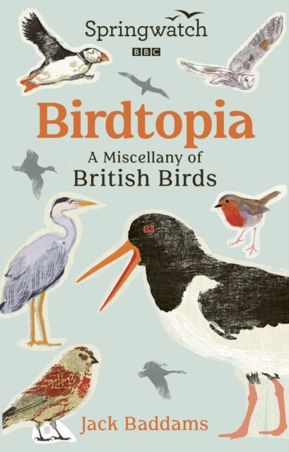 Birdtopia A Miscellany Of British Birds By Baddams, Jack