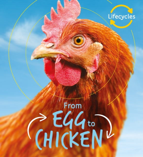 From Egg To Chicken