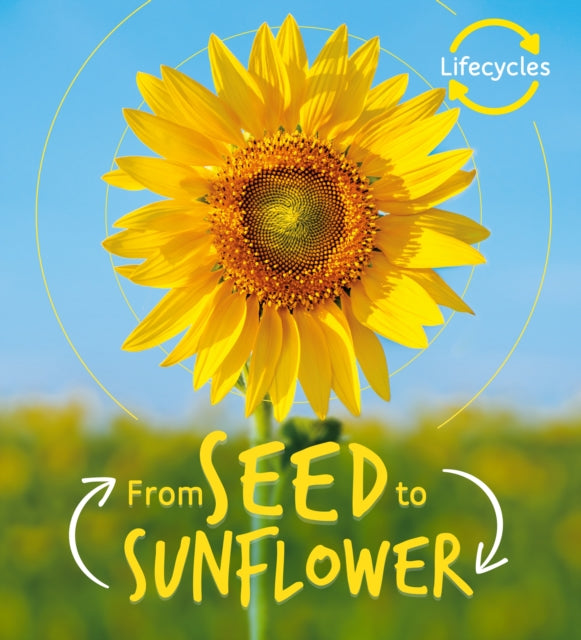 From Seed To Sunflower