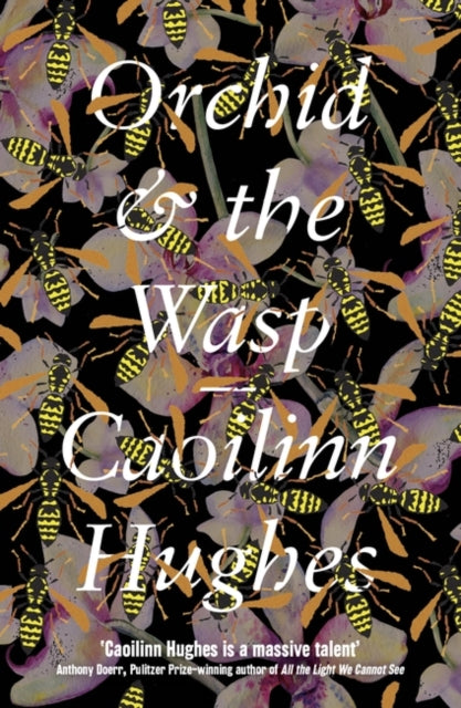 Orchid & The Wasp