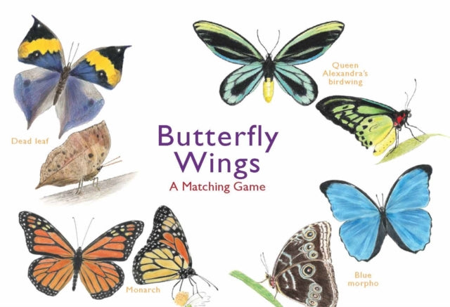 Butterfly Wings A Matching Game By Berrie,christine