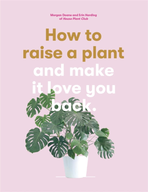 How To Raise A Plant & Make It Love You