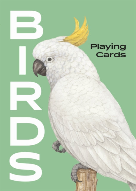 Birds Playing Cards By Miyake,ryuto