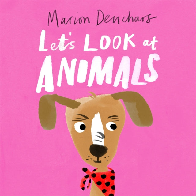 Lets Look At Animals