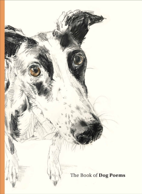 The Book Of Dog Poems By Ana Sampson  Illustr