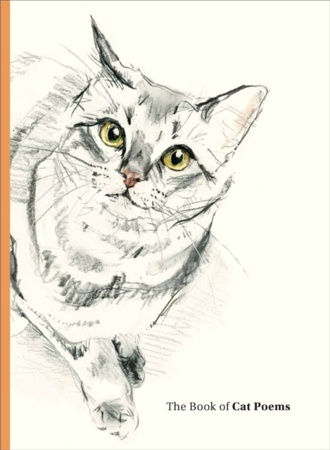 The Book Of Cat Poems By Ana Sampson  Illustr