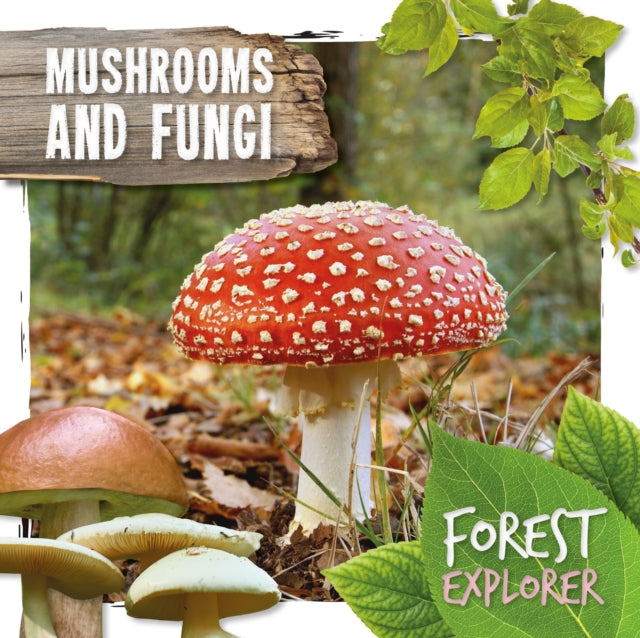 Mushrooms Fungi