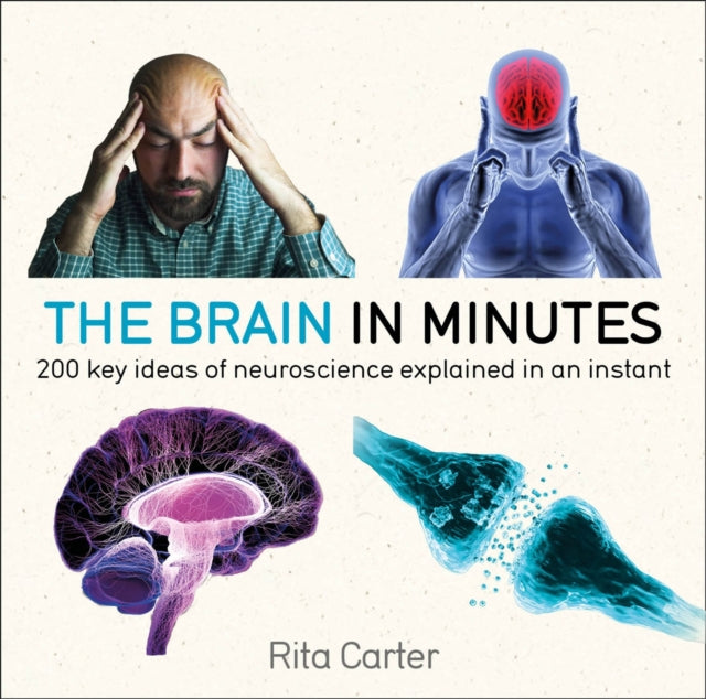 Brain In Minutes