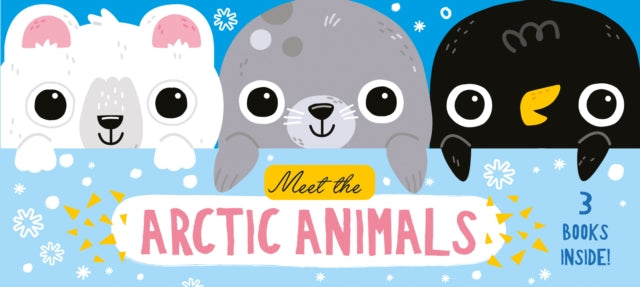 Meet The Arctic Animals